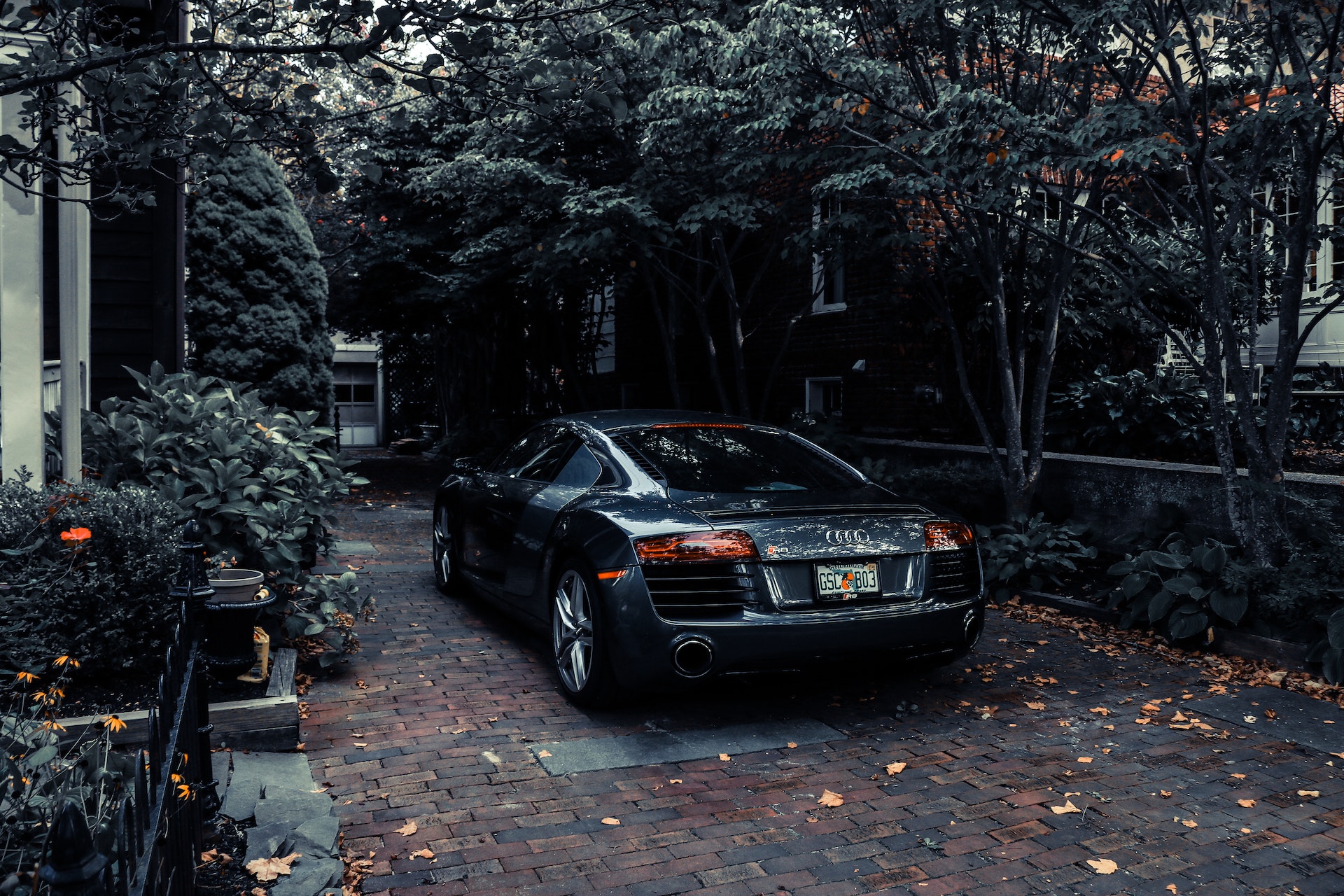 audi parked near trees