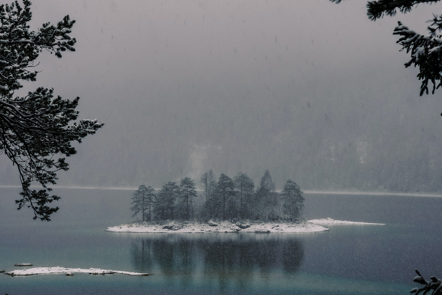 Trees Growing on Island on Lake
