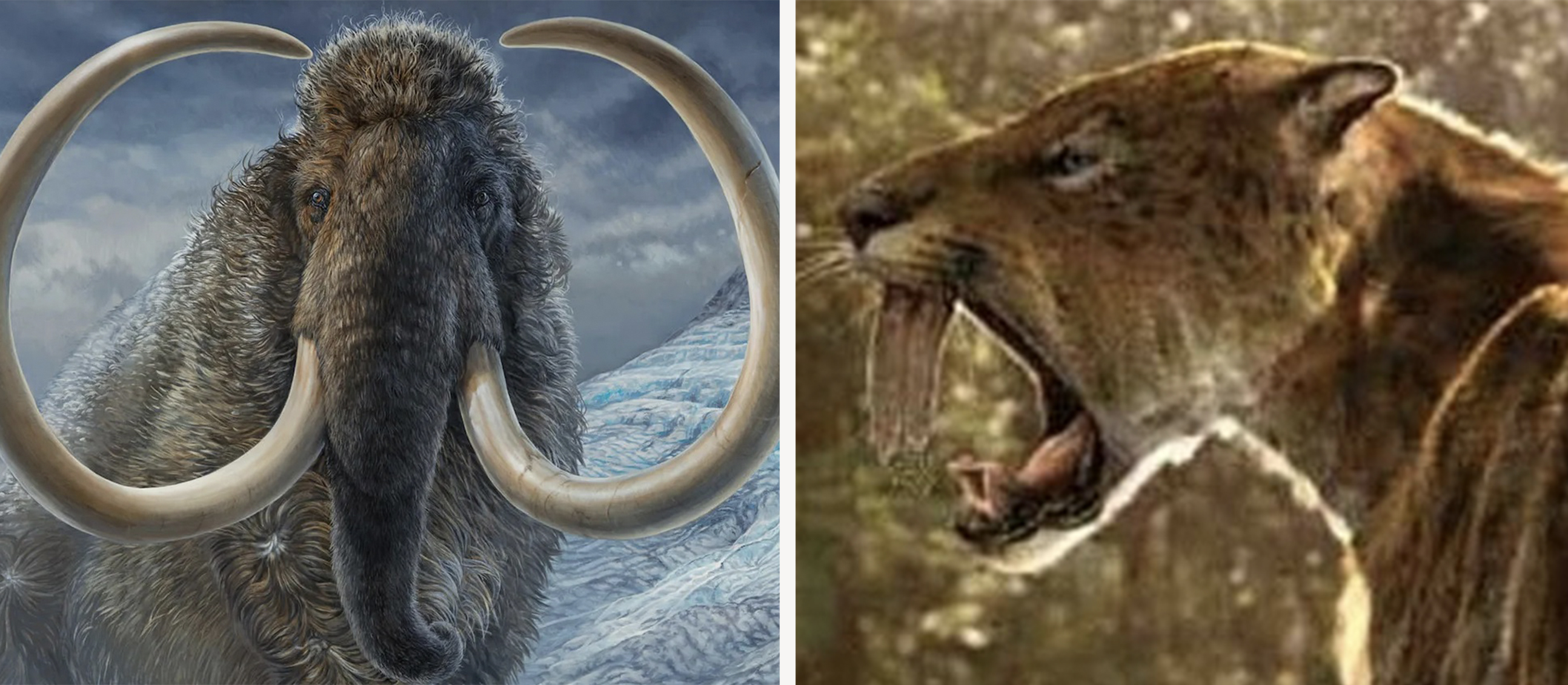 Prehistoricbeasts-Msn