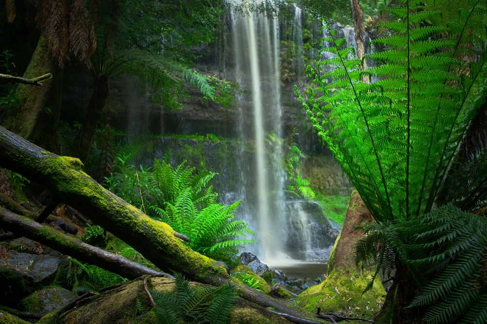 Scary After Dark Facts