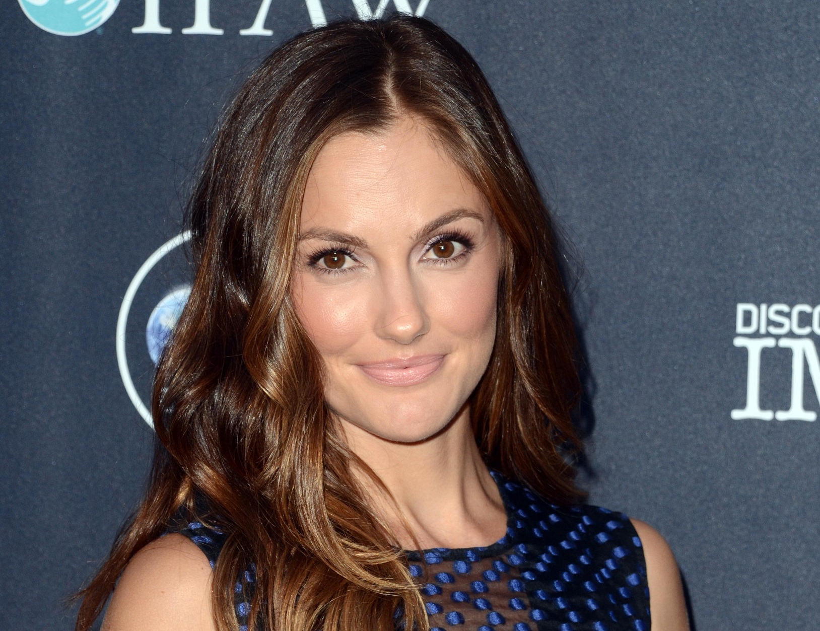 Minka Kelly wearing blue dress is looking at camera and smiling - 2016