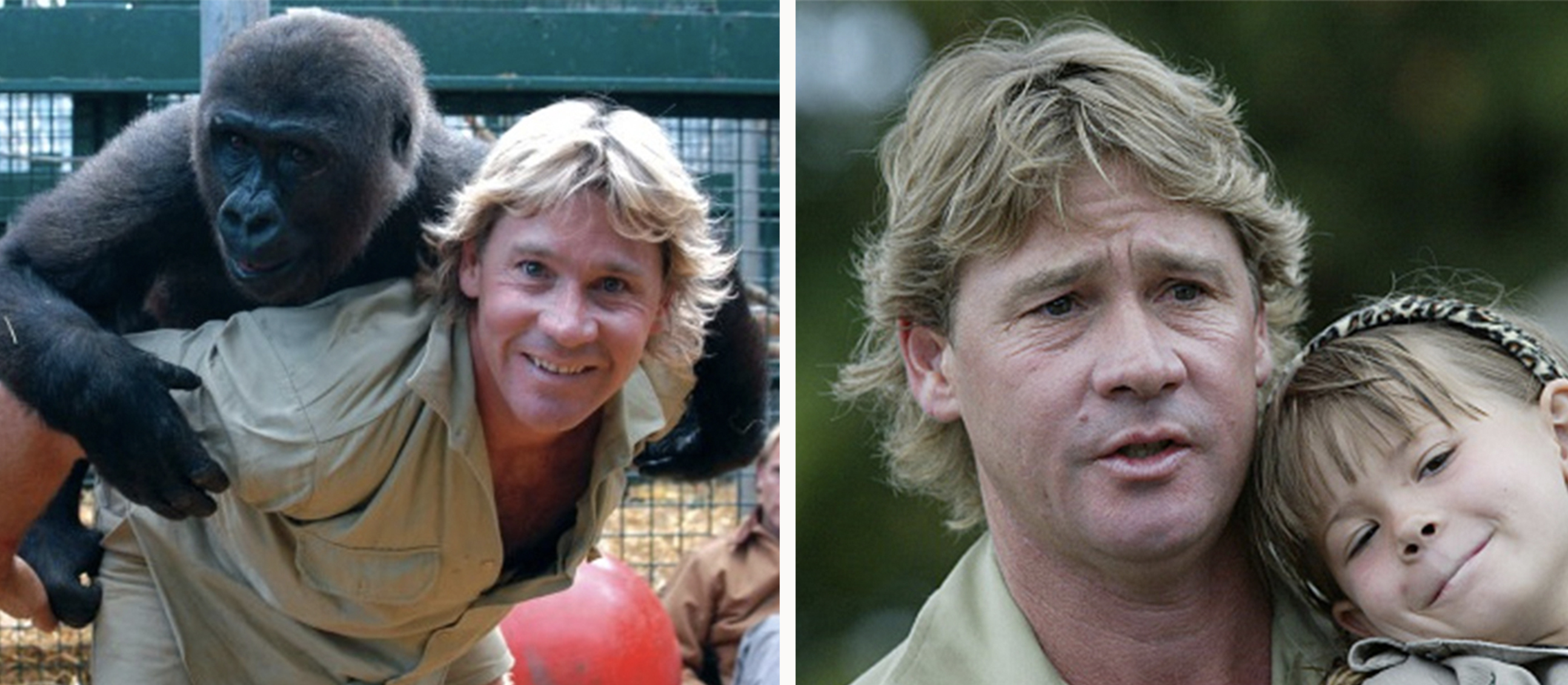 Steveirwin-Msn