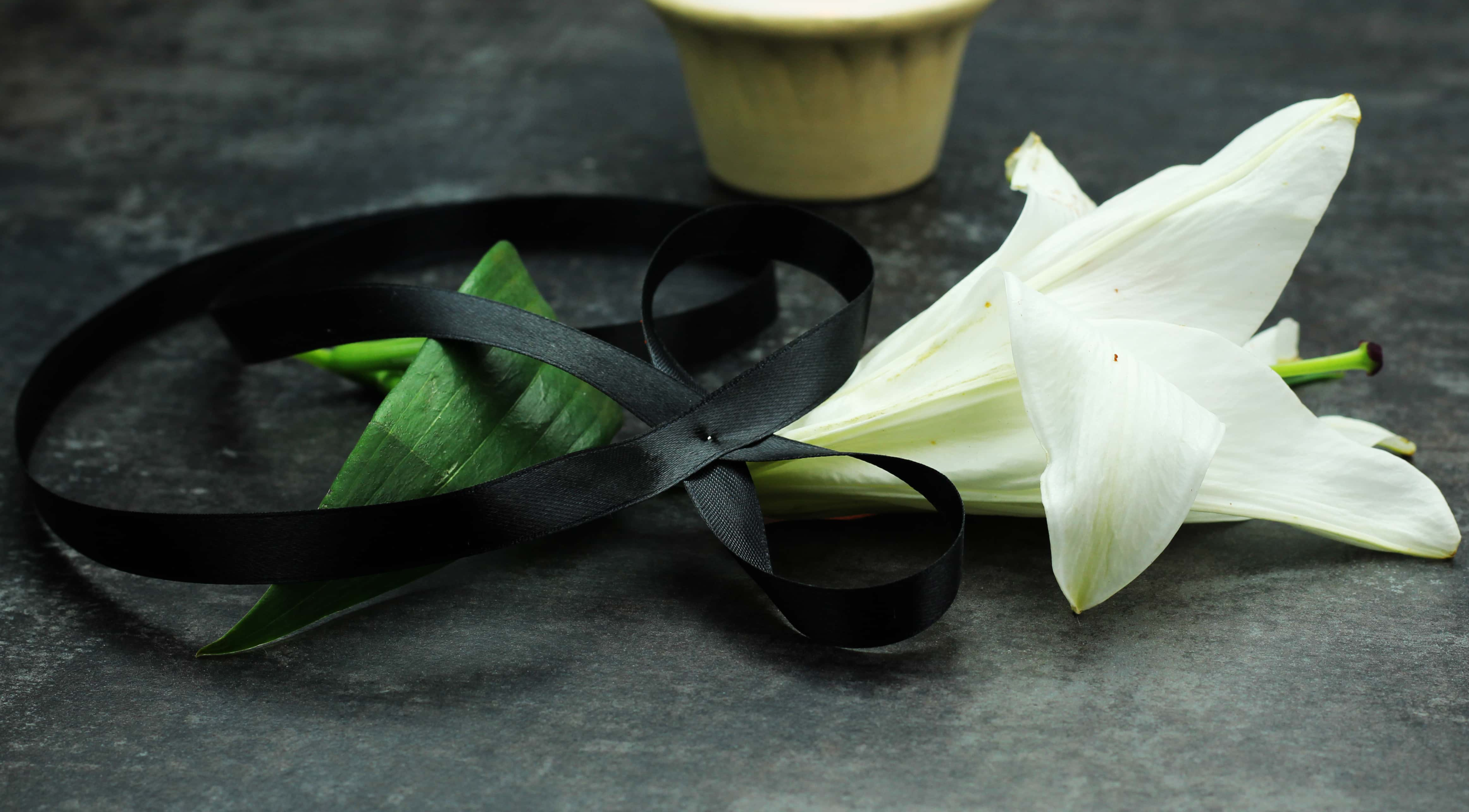 Jason Bourne Movies facts