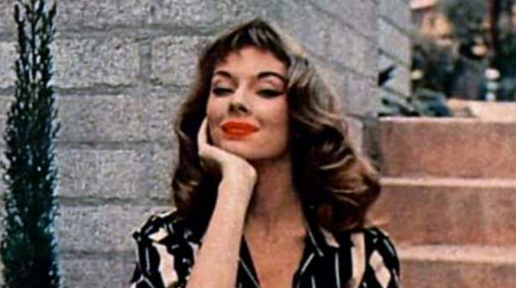 Vikki Dougan facts