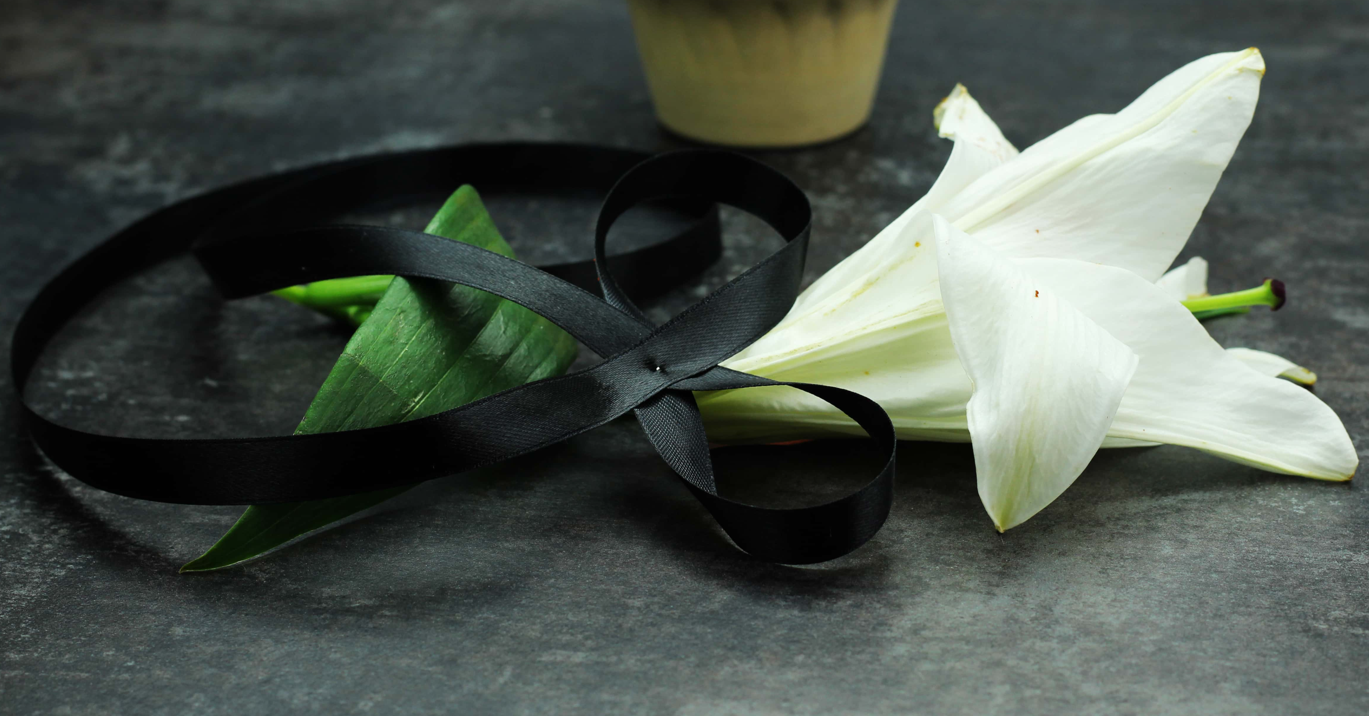 Jason Bourne Movies facts