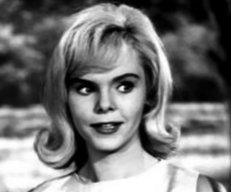 Jenny Maxwell from the television program Ichabod and Me