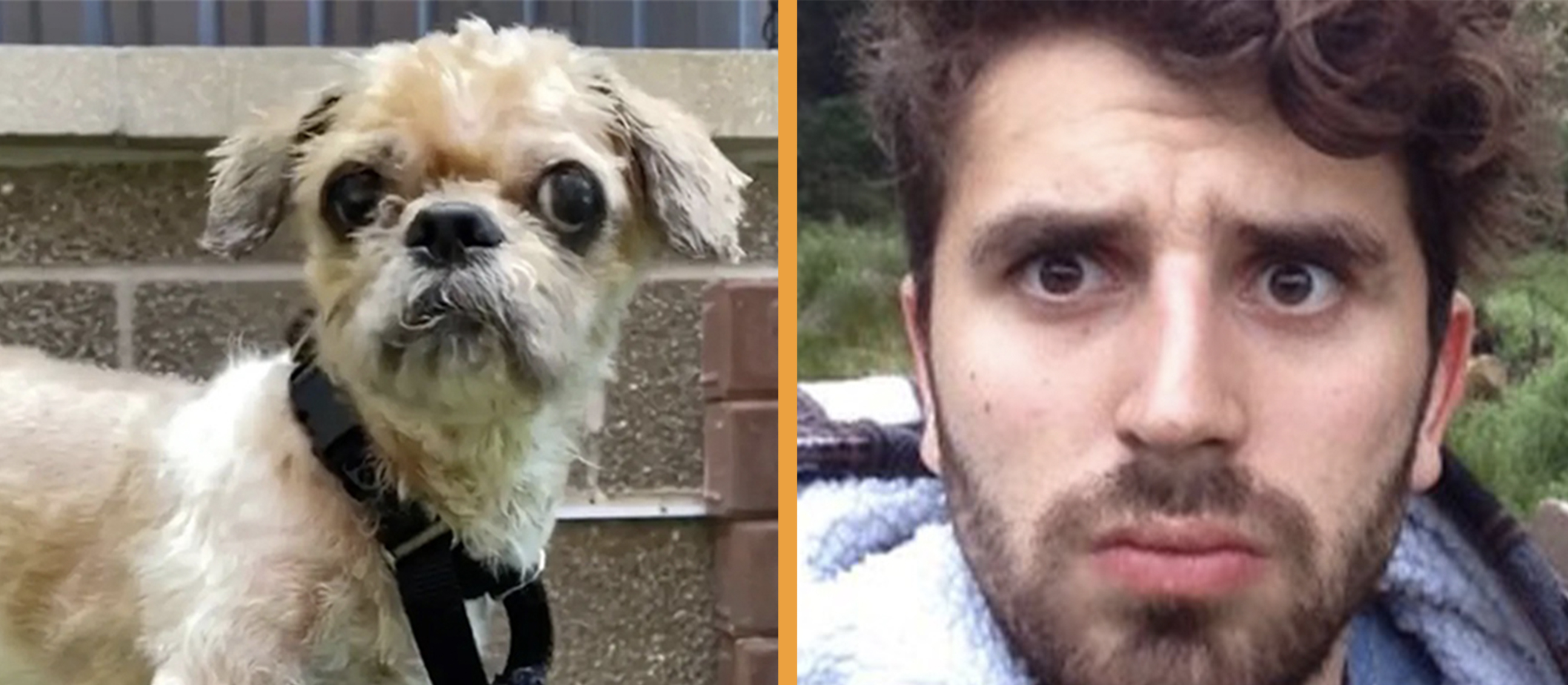 Unbelievablepets-Msn