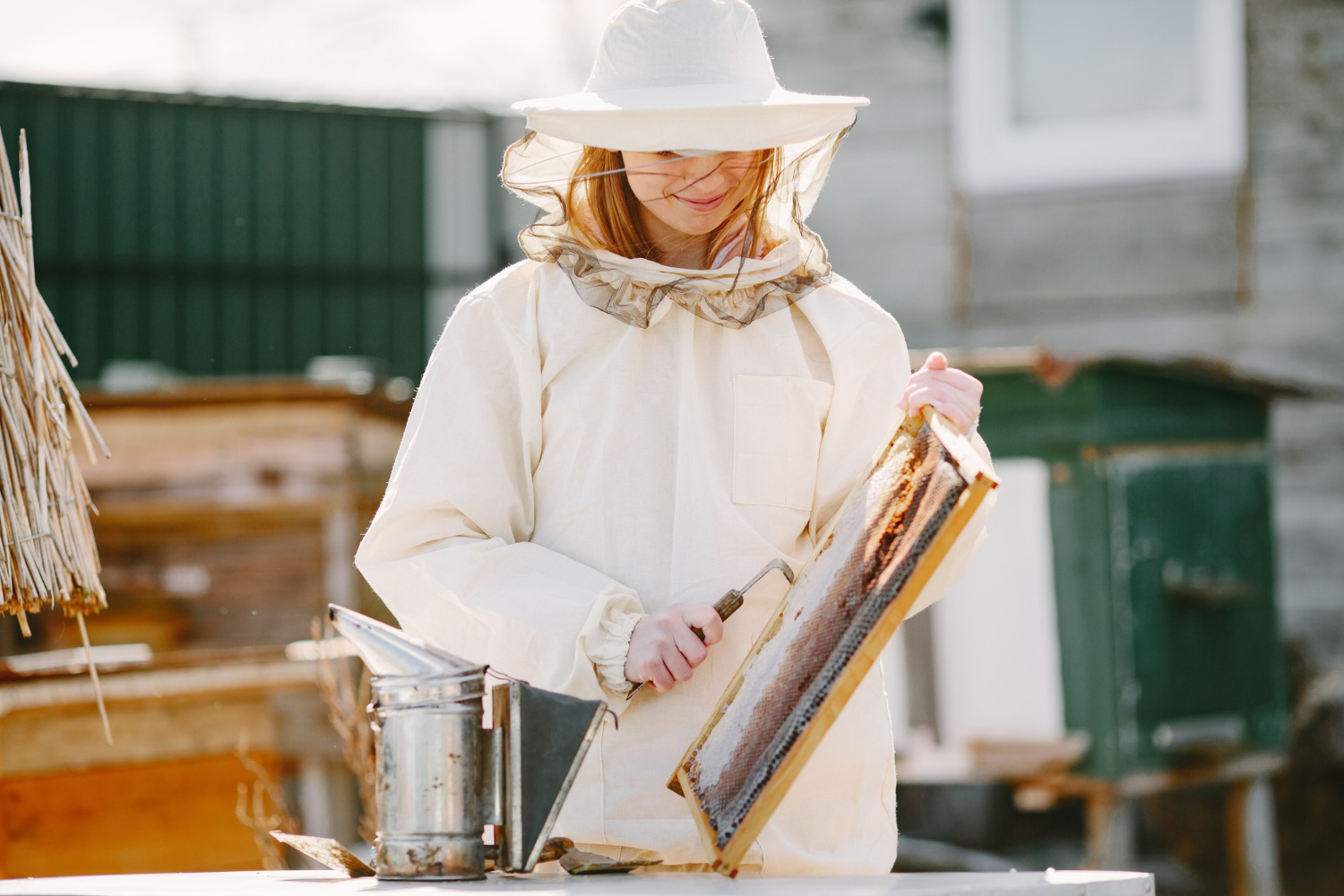 Woman beekeeper looks after bees. wearing coverall.