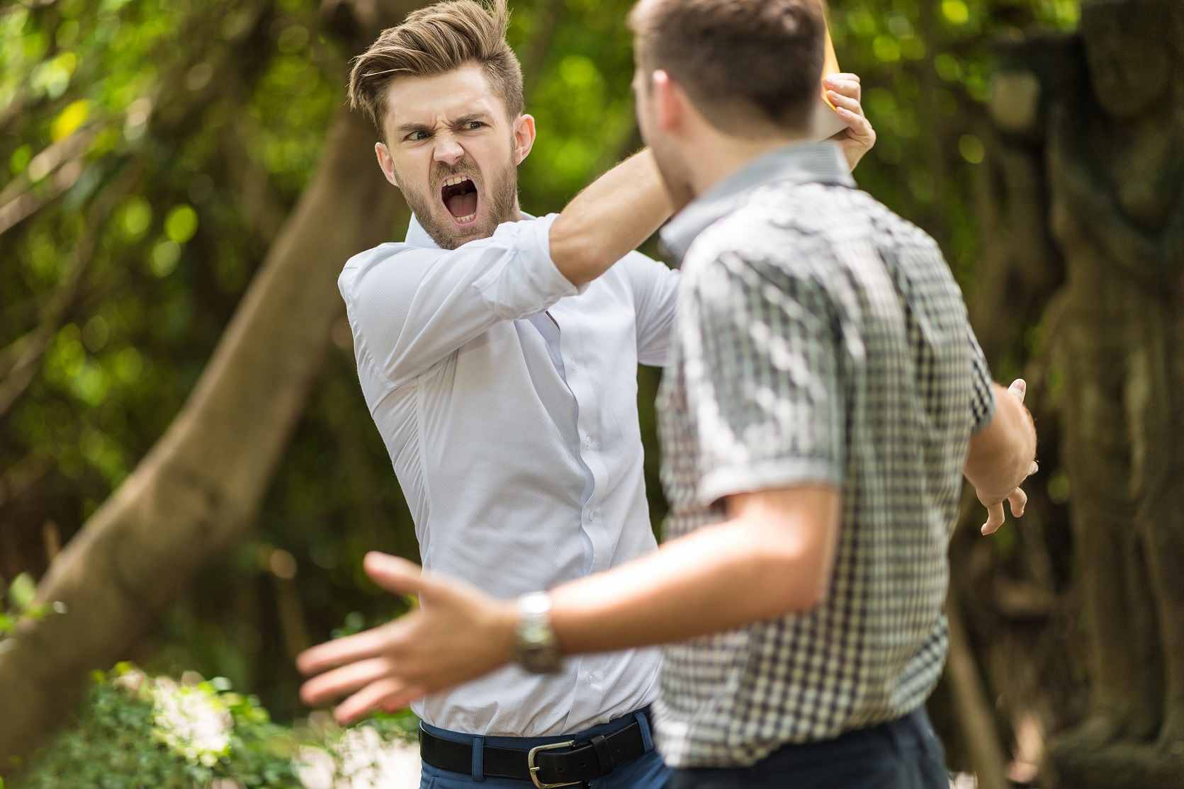 Two handsome and young furious men fighting with each other in the garden.