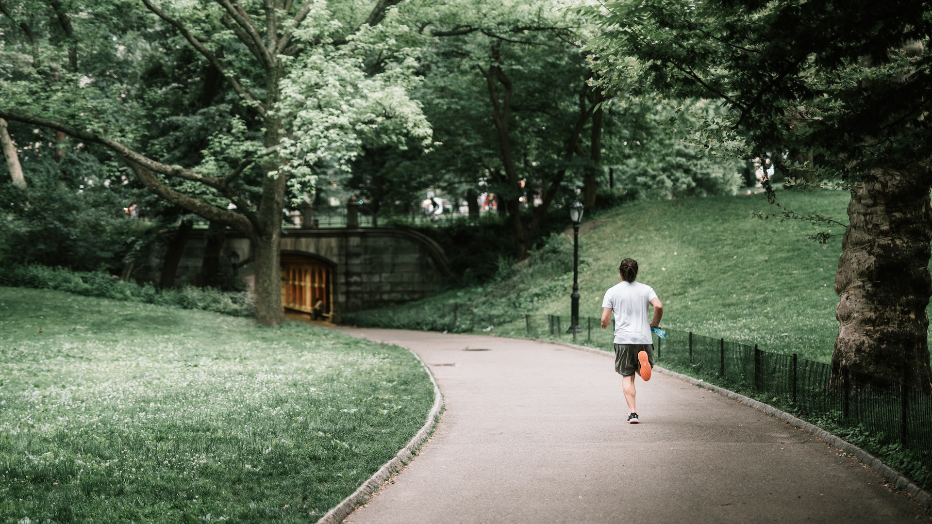 Photo of Man Jogging on Paved Pathway in a park