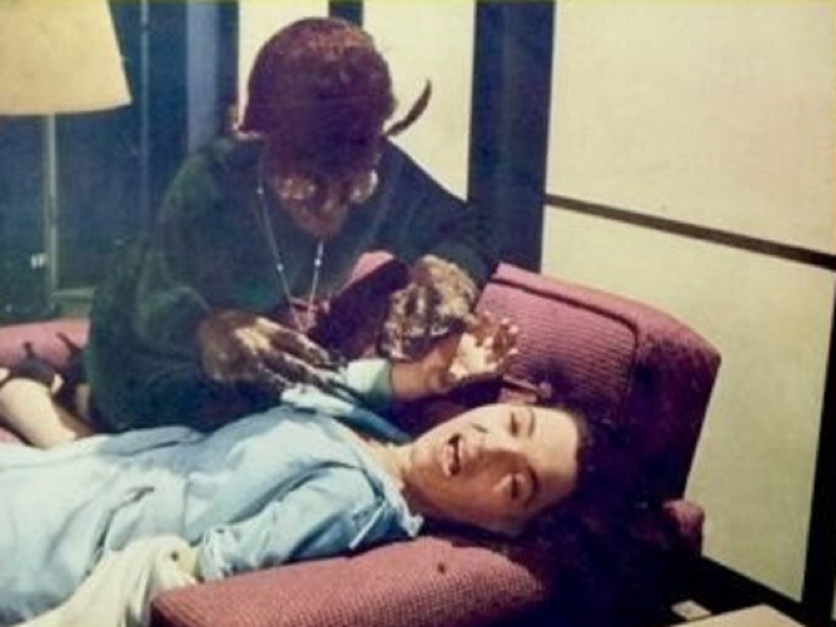 The Wasp Woman - Poster - 1959