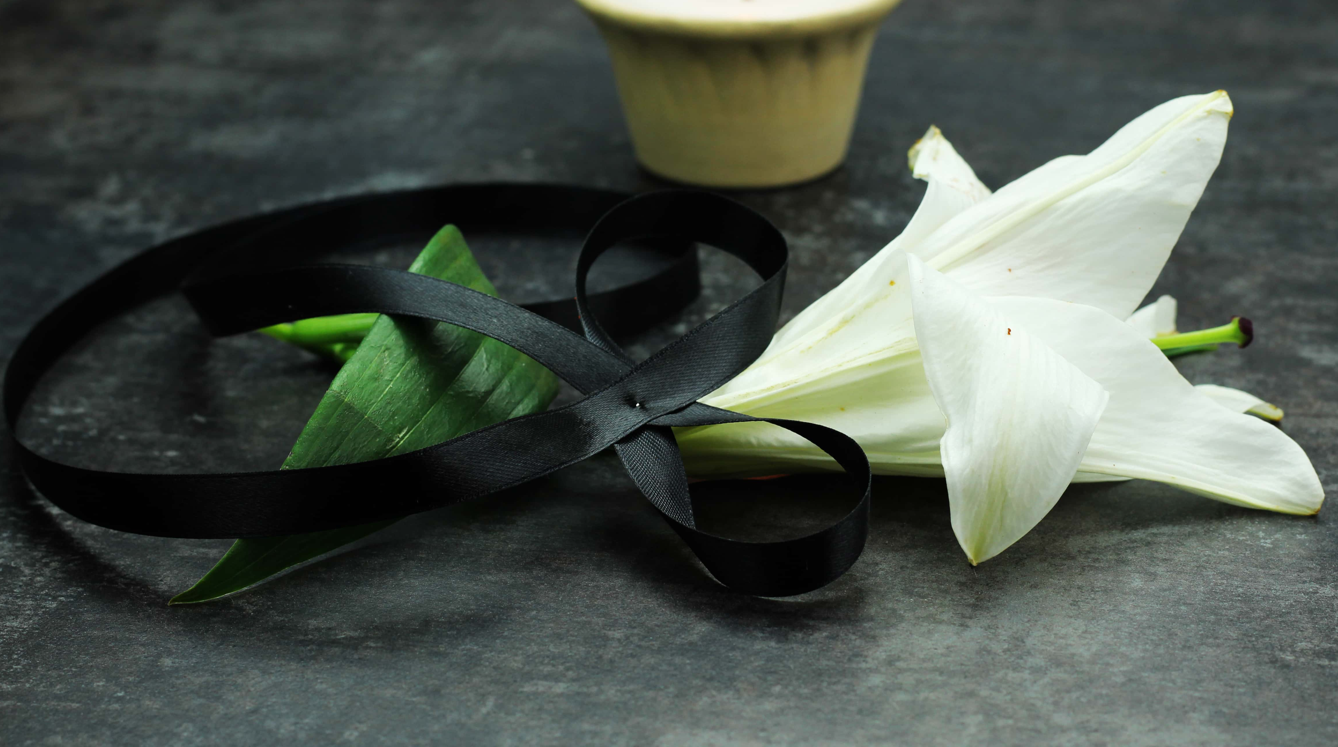 Jason Bourne Movies facts