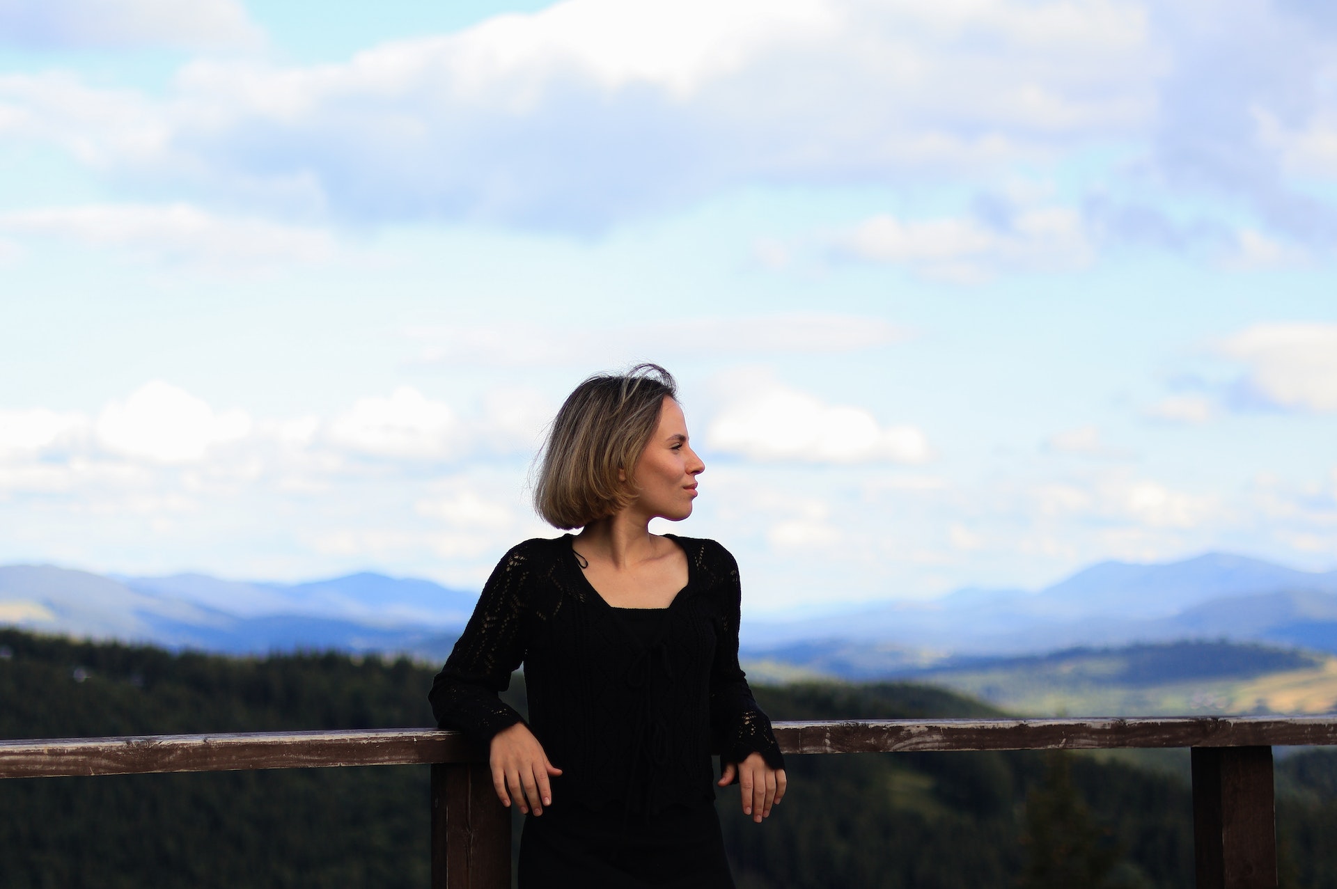 Revenge Stories facts 