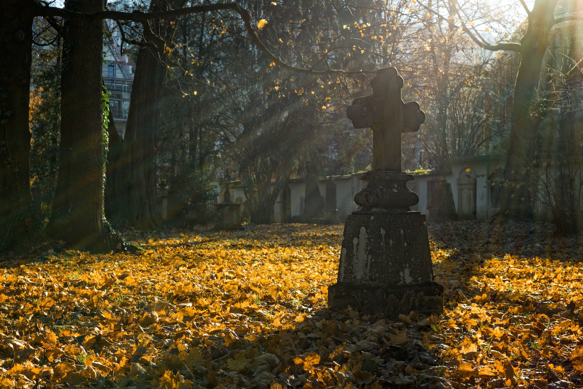 Gray Concrete Gravestone on an autumn sunny day