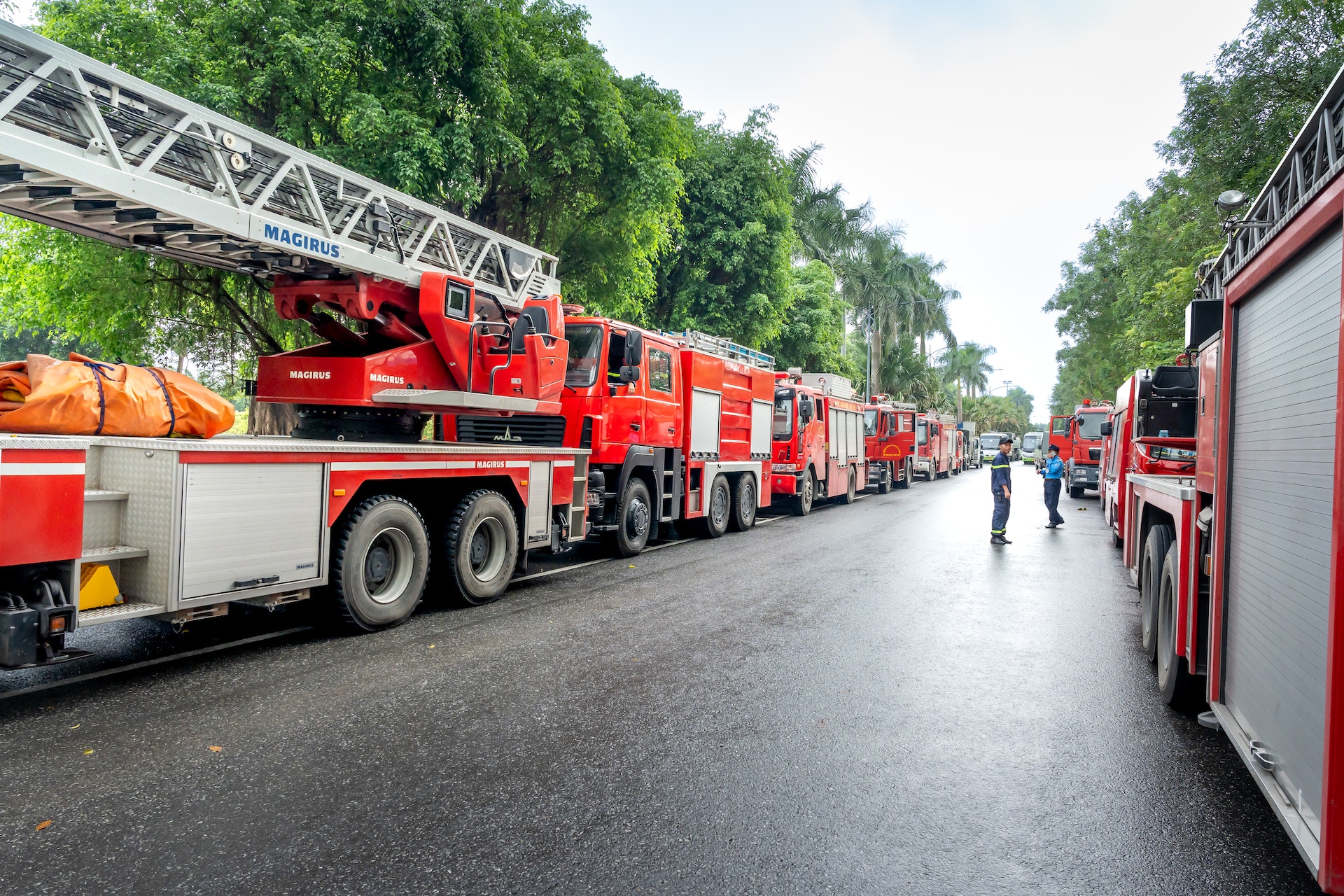 Stupid Neighbors Facts