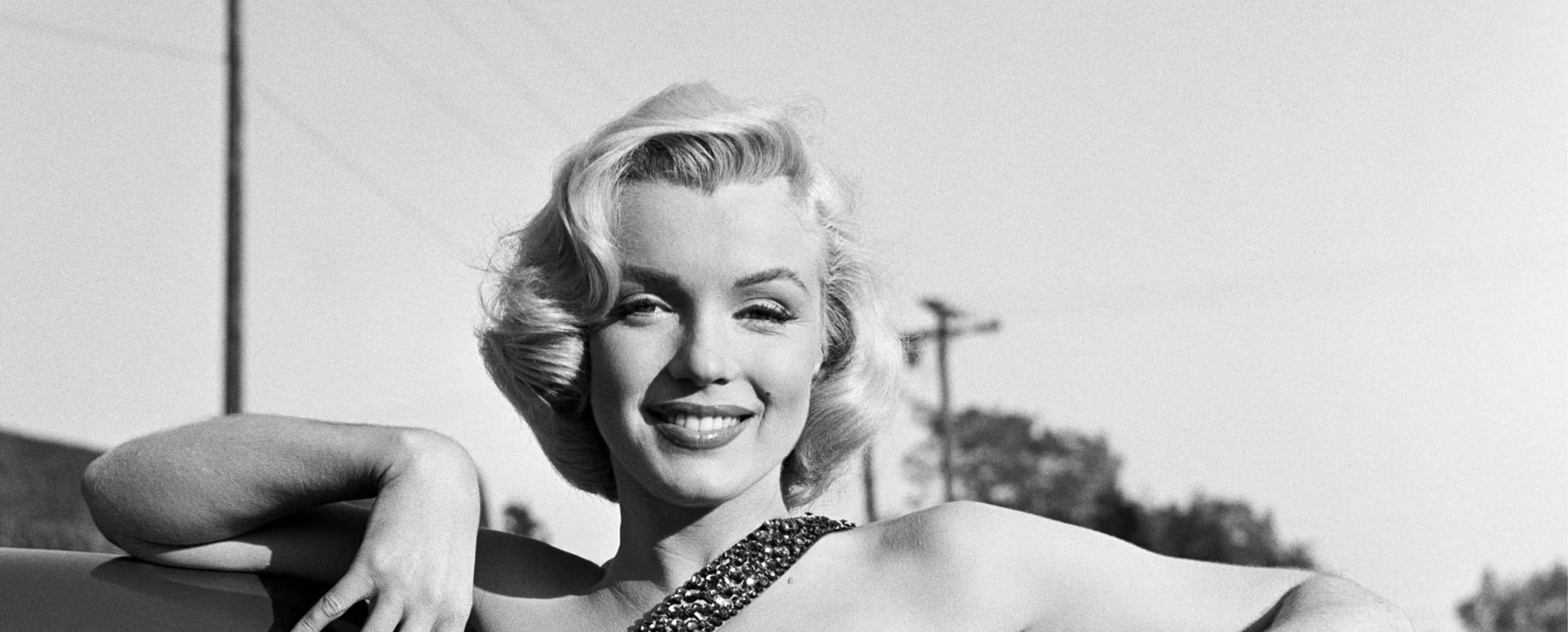 Marilyn Monroe Portrait.