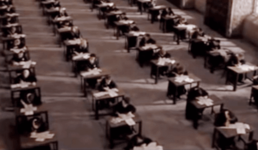 Hermione Granger facts