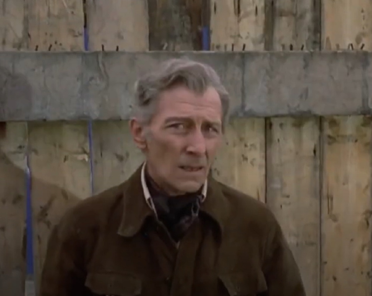 Screenshot of Peter Cushing standing outside - from Dracula A.D. (1972)