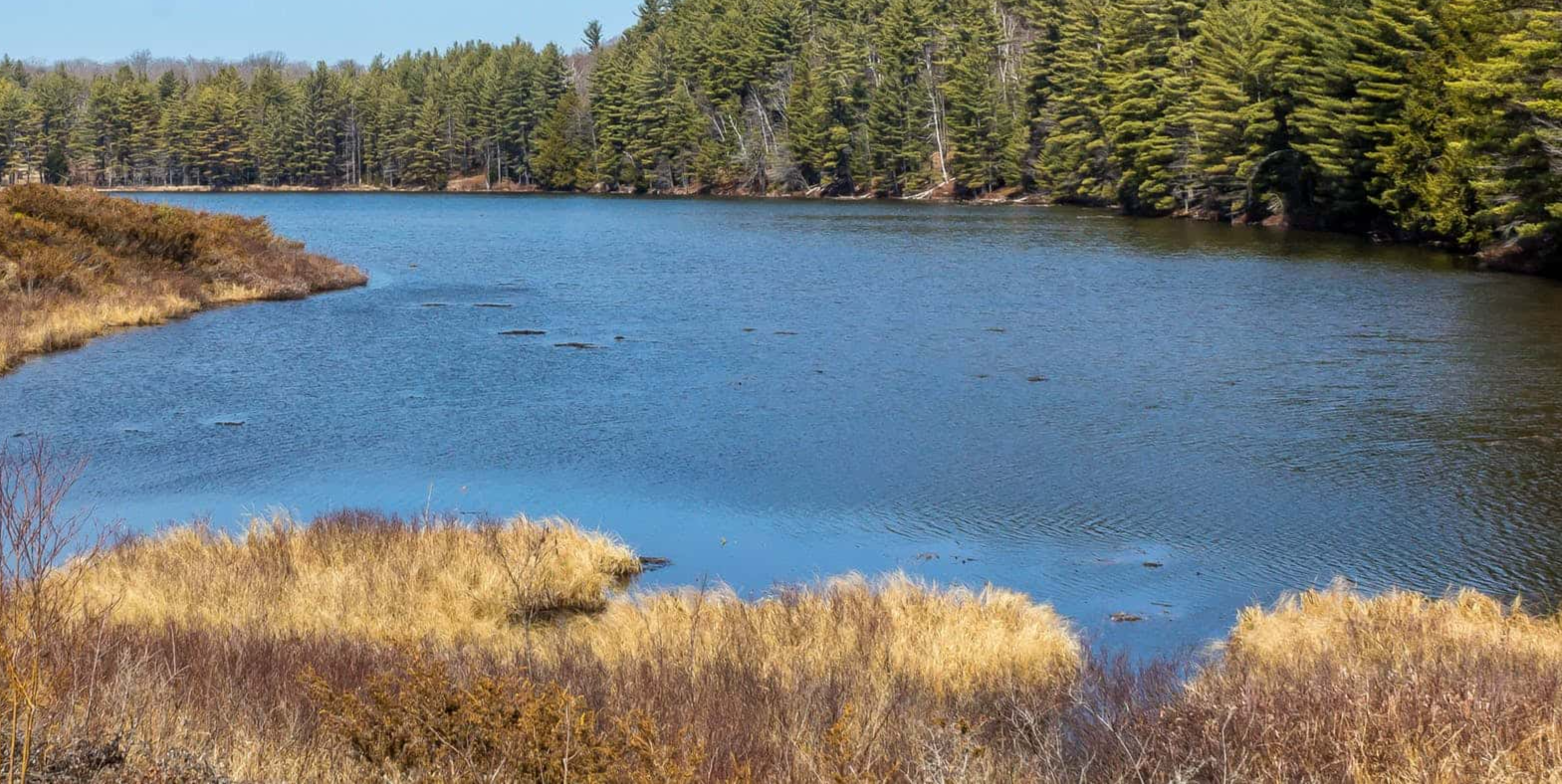 New York State Facts