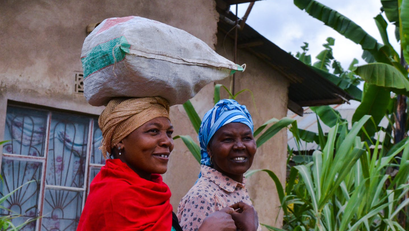 Two girls walking near the concrete house, smiling, big plant in front