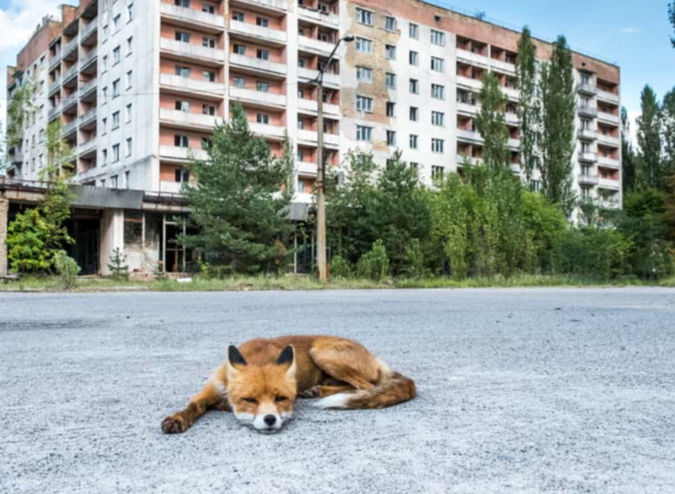 Chernobyl Disaster Facts