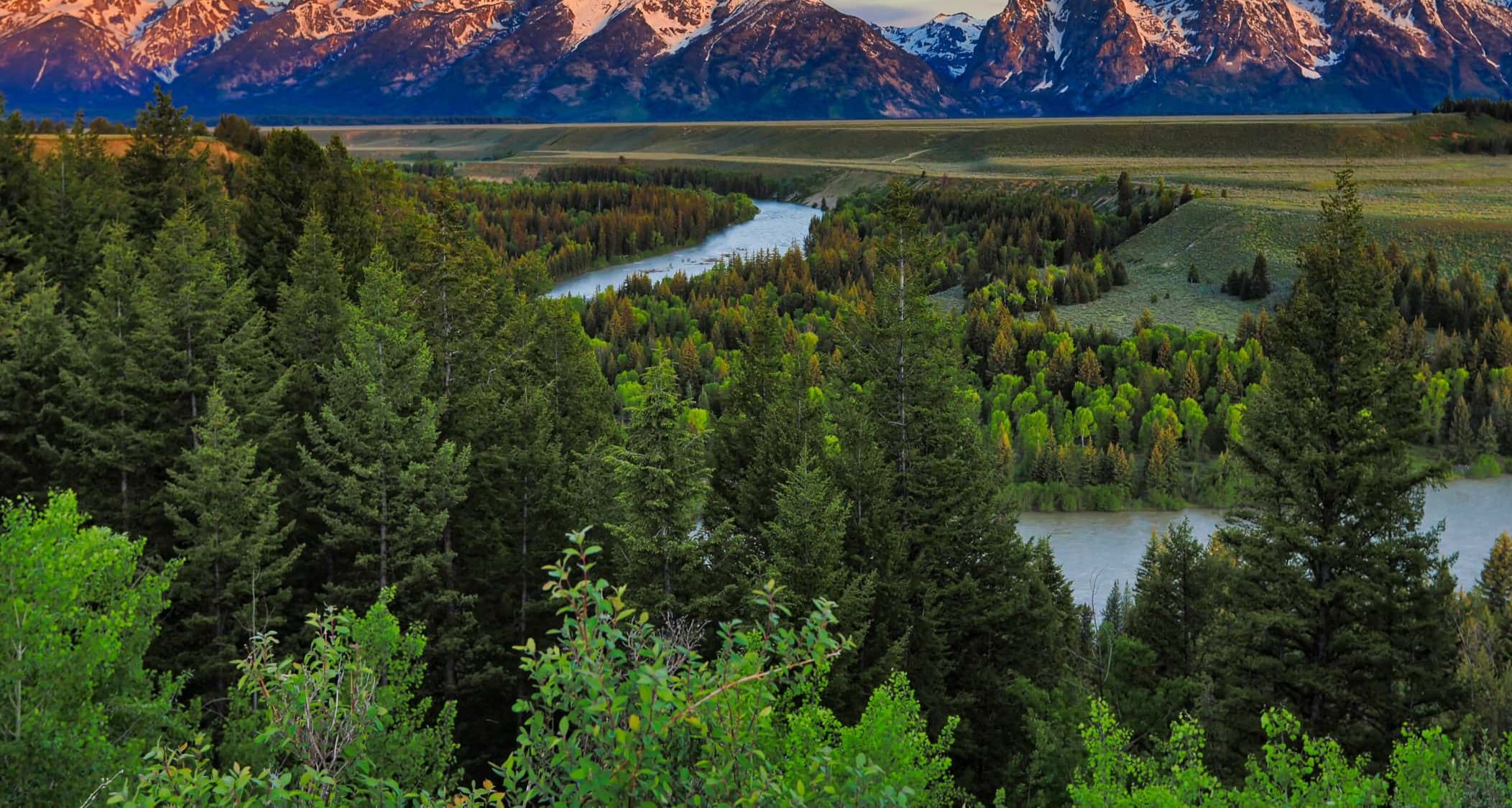 Whitney Houston Facts