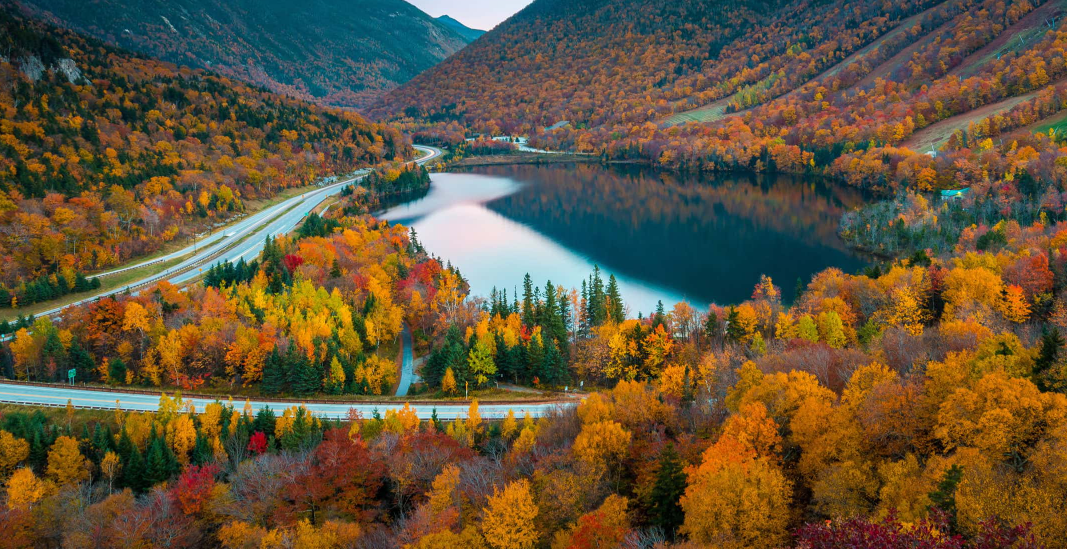 Whitney Houston Facts