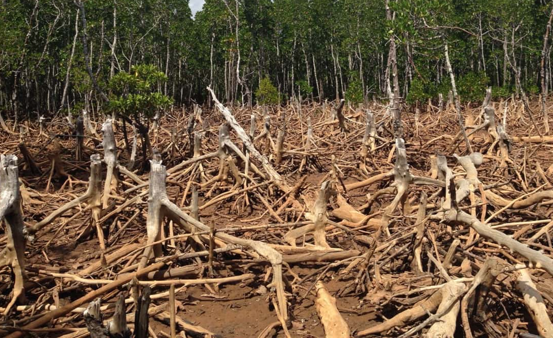 Global Warming Facts