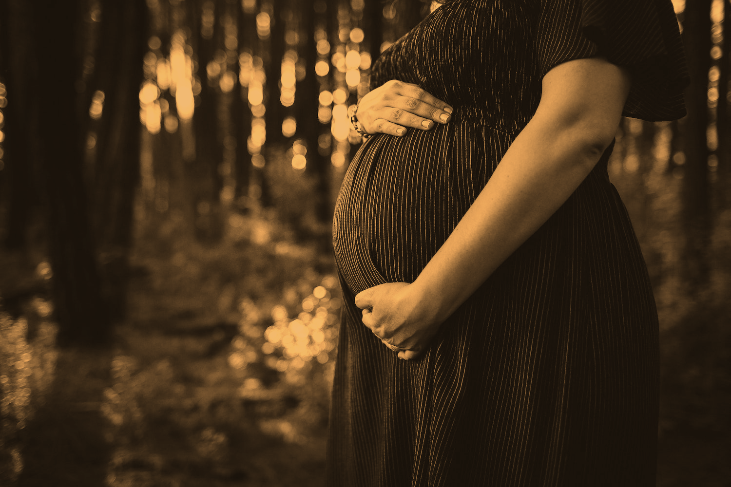 Pregnant Woman In The Forest