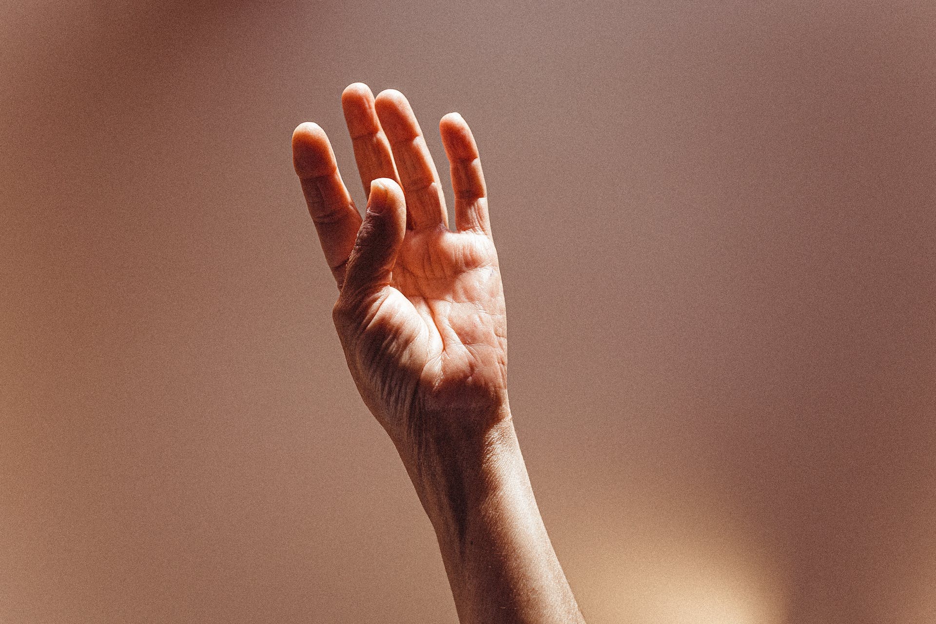 close-up photo of persons left hand raised