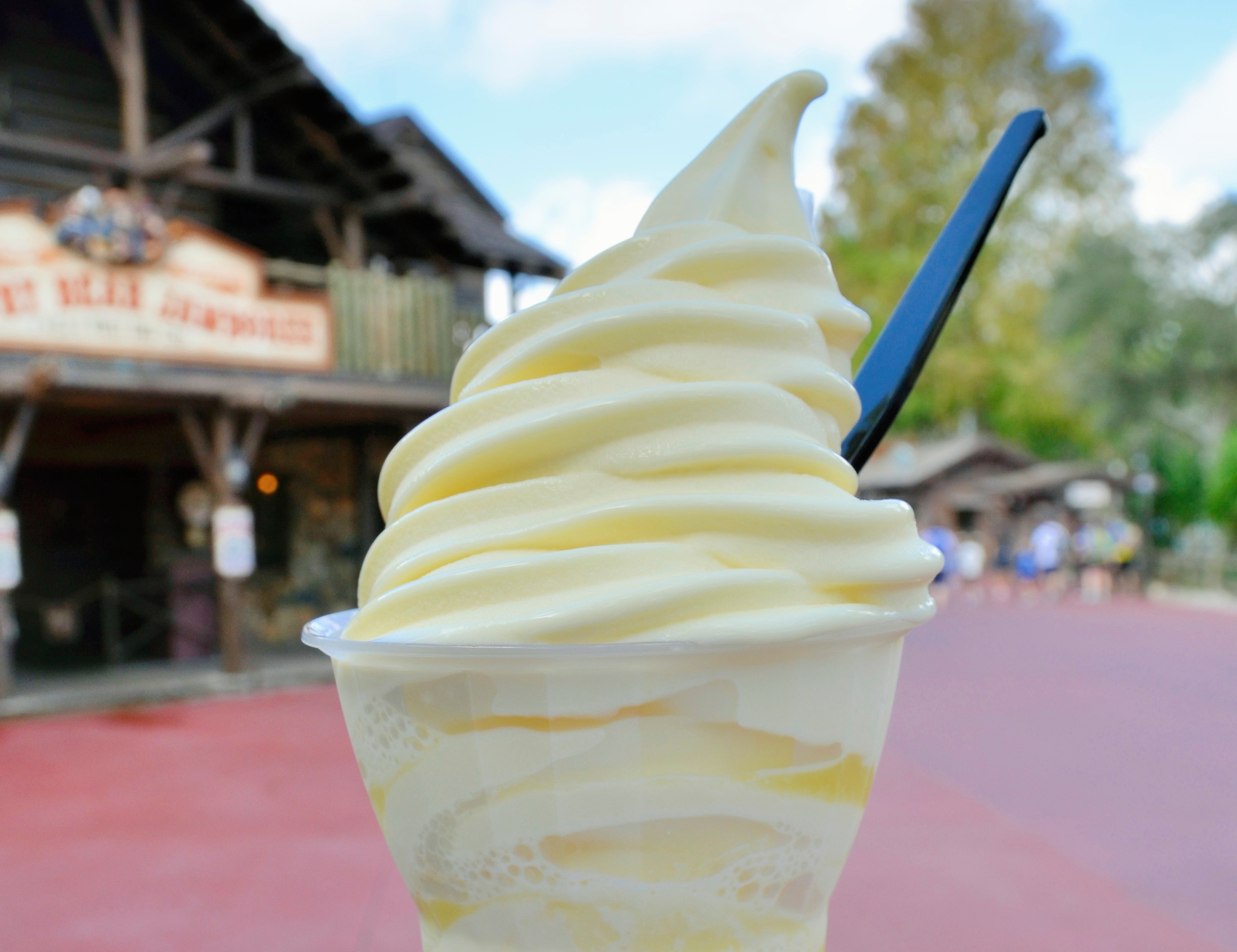 Disney’s Magic Kingdom Orlando Dole Whip