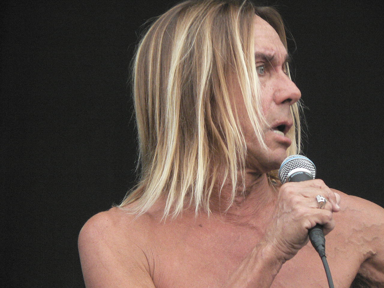 Iggy Pop facing right