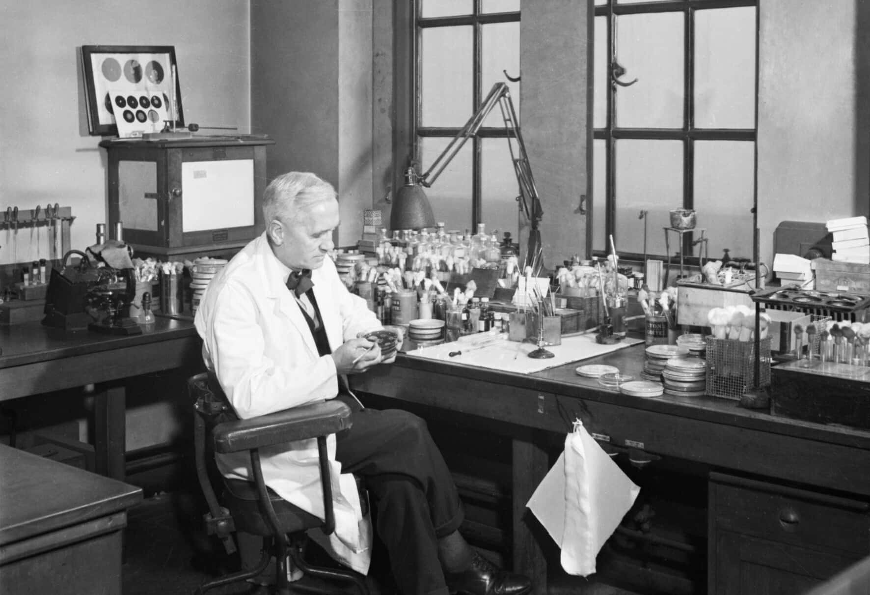 Professor Alexander Fleming At Work In His Laboratory