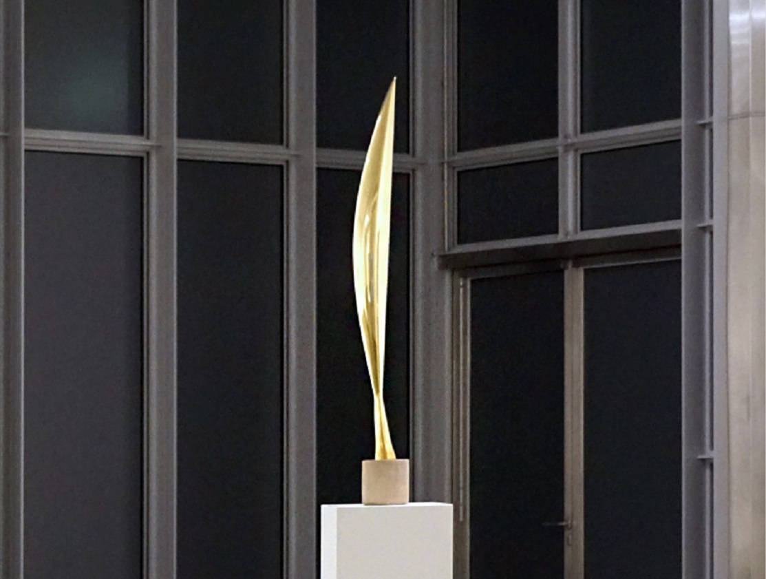 Bird in space - Brancusi - 2017