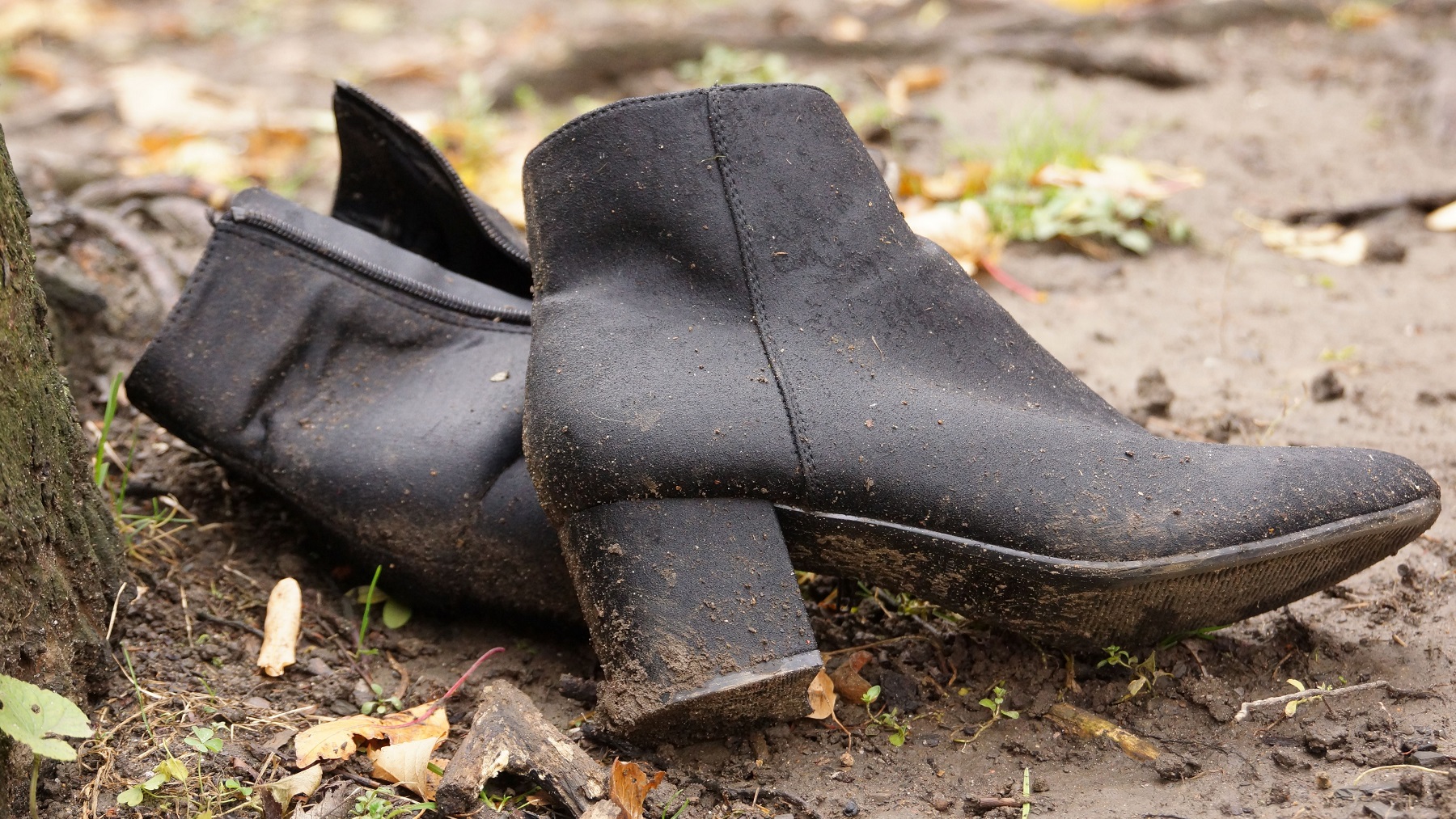 Closeup on dirty woman's black shoes with heel on ground near tree trunk - 2021