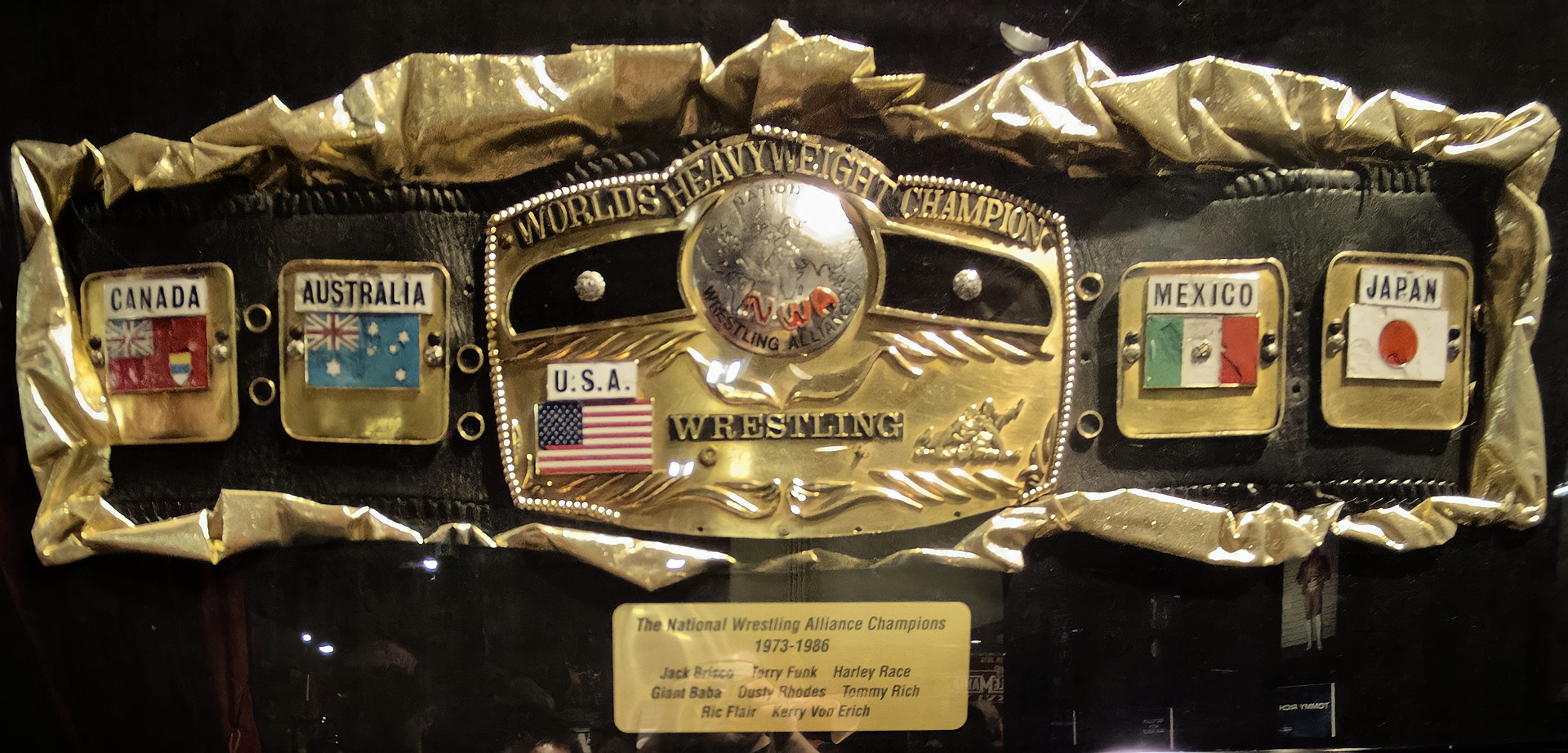Nwa World Heavyweight Championship Belt 2012