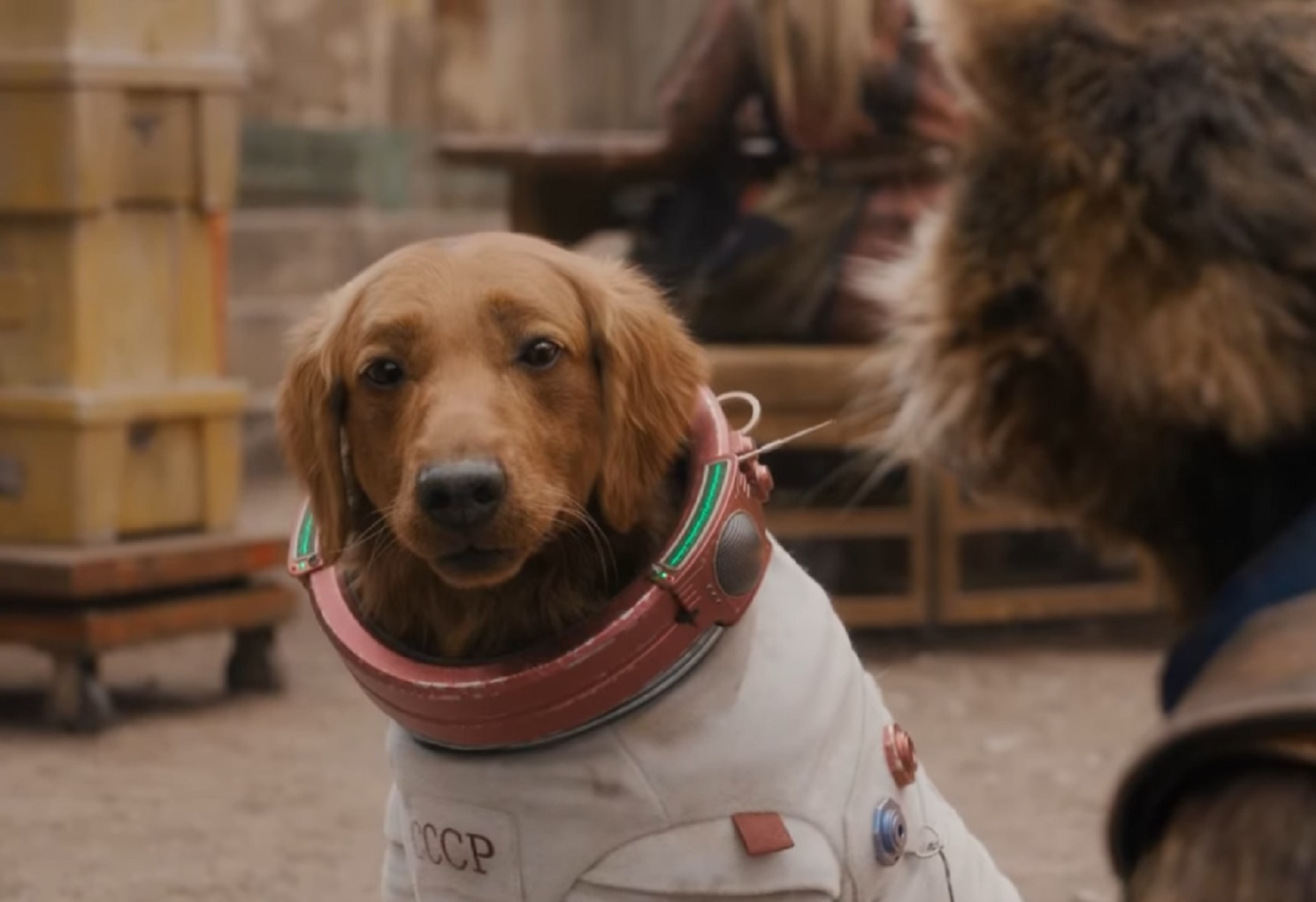 Screenshot of Cosmo dog - from Guardians of the Galaxy (2014)