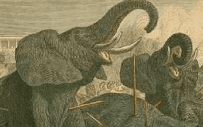 Roman Gladiators Facts