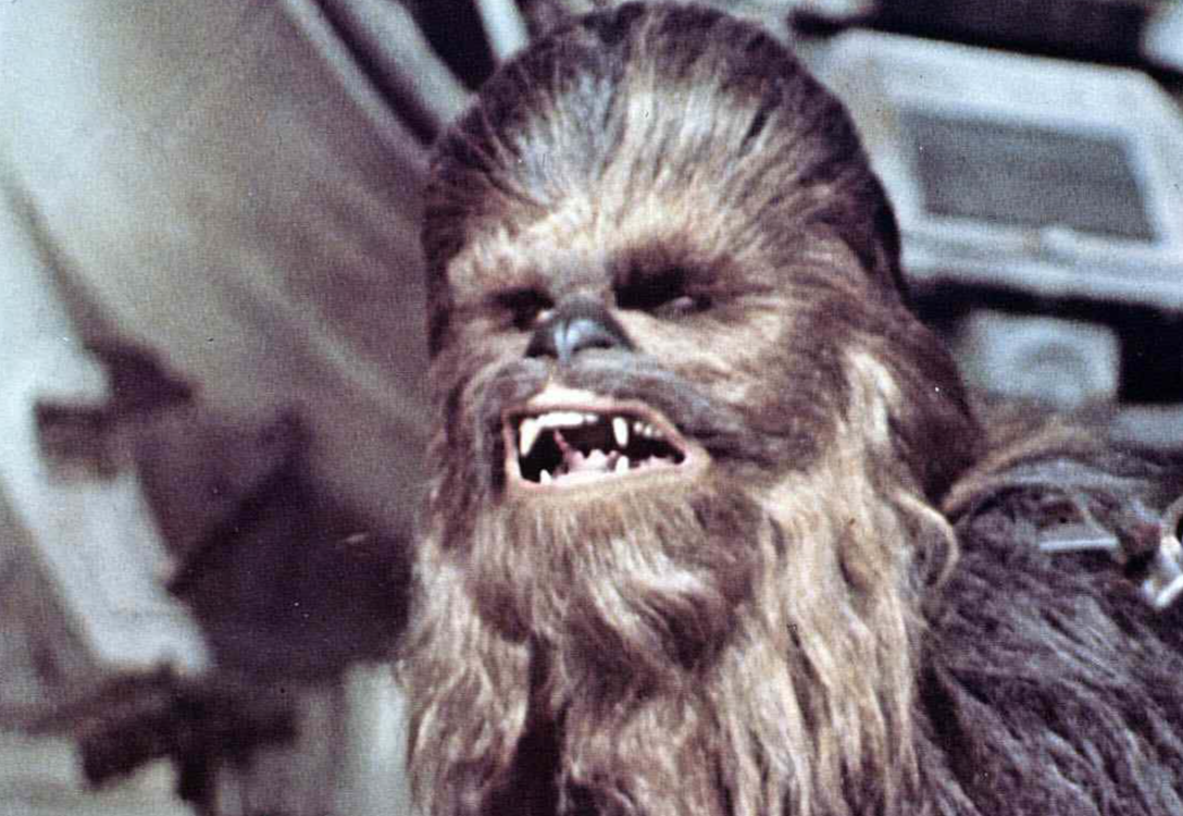 Chewbacca Facts