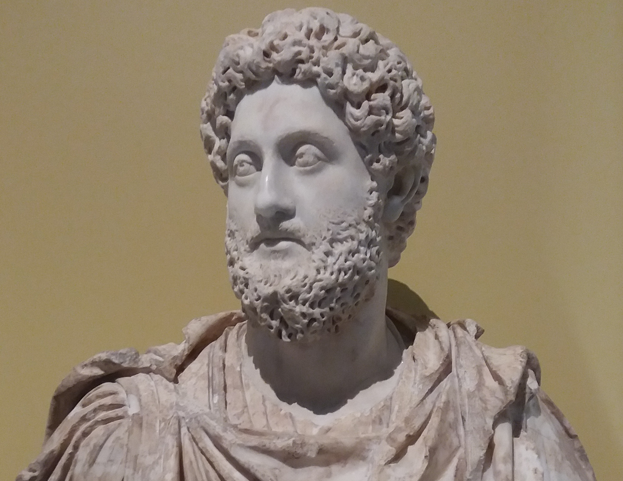 Commodus