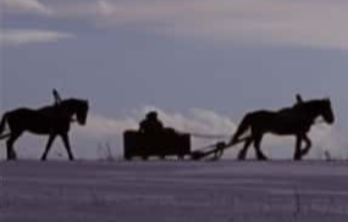 Ivan the Terrible facts