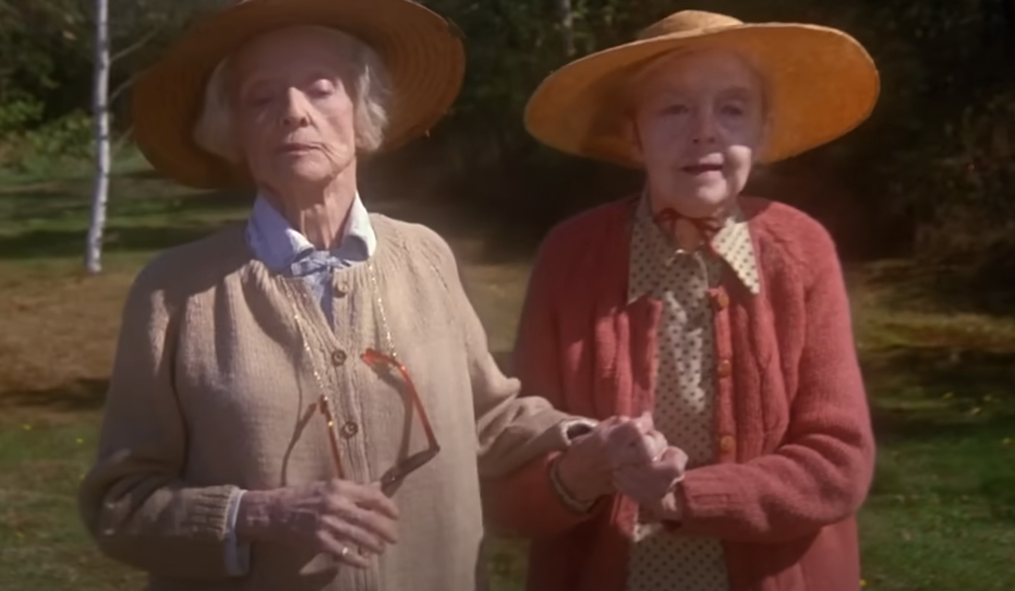 Bette Davis and Lillian Gish in The Whales of August (1987)