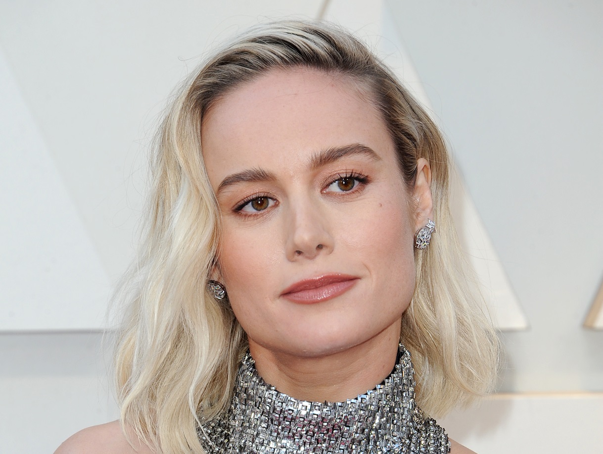 Brie Larson at the 91st Annual Academy Awards - 2019