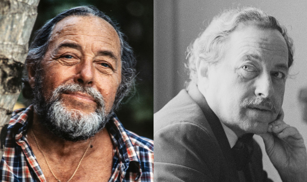 Tennessee Williams Msn Split