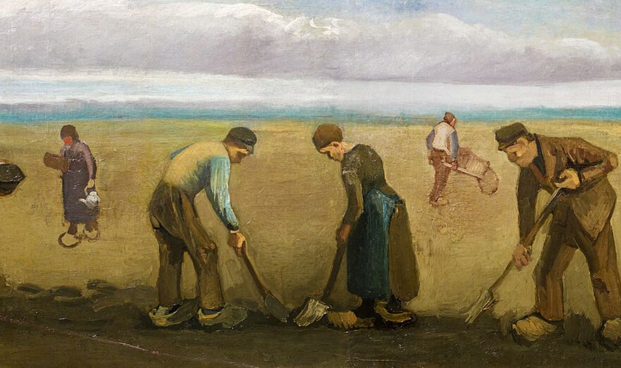 People in field