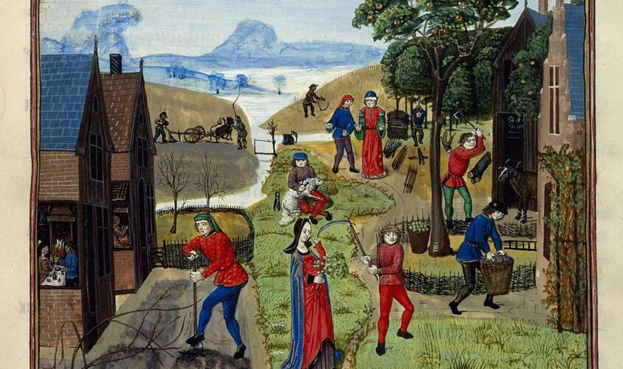 Daily Life In The Fields