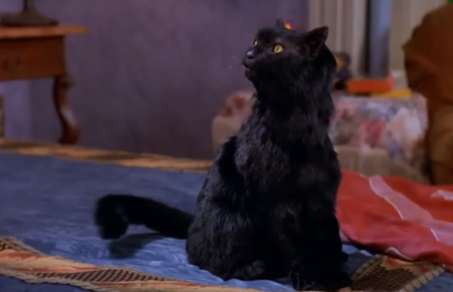 Sabrina the Teenage Witch (1996-2003)