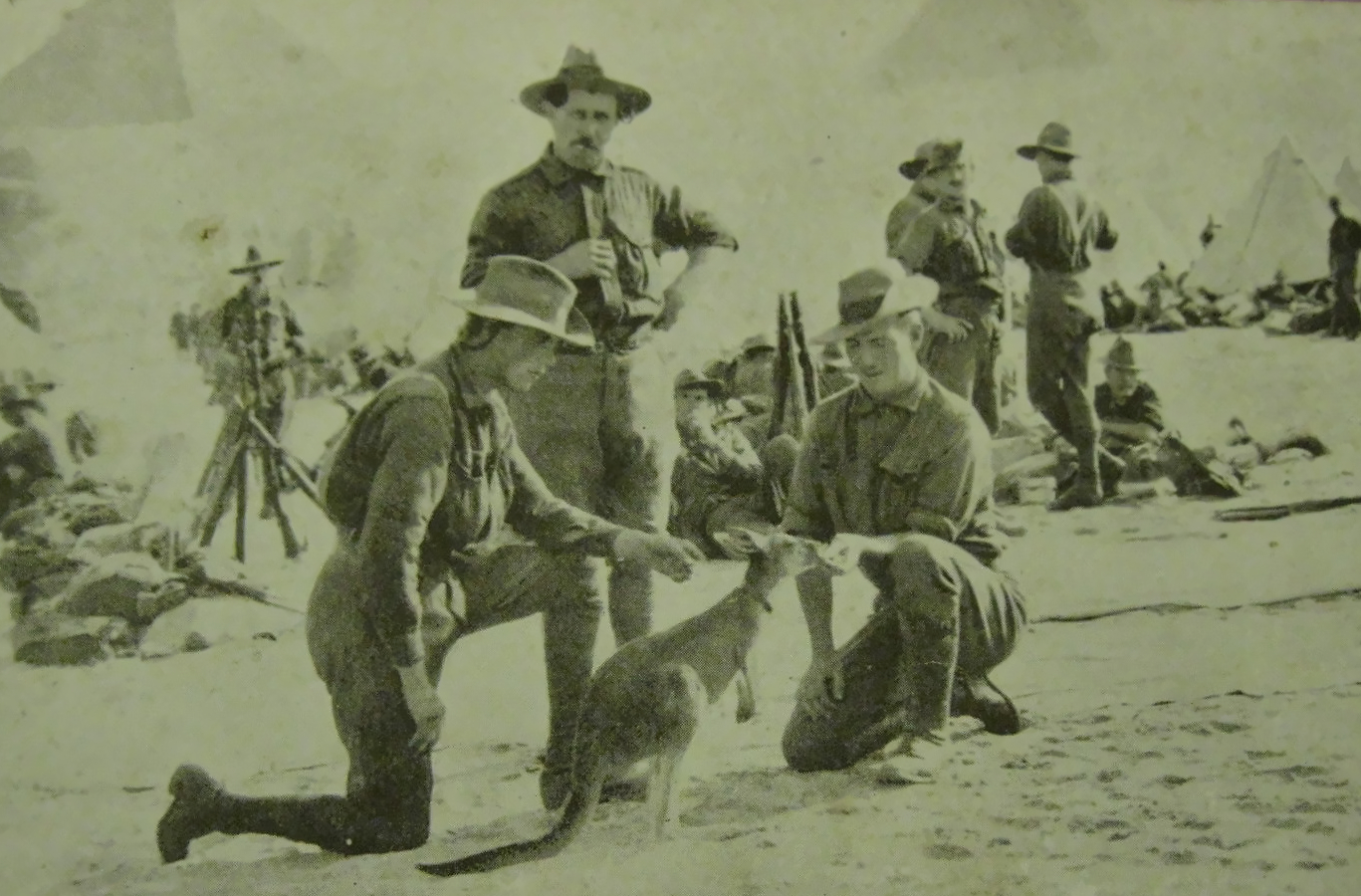 Kangaroo mascot with Australian soldiers