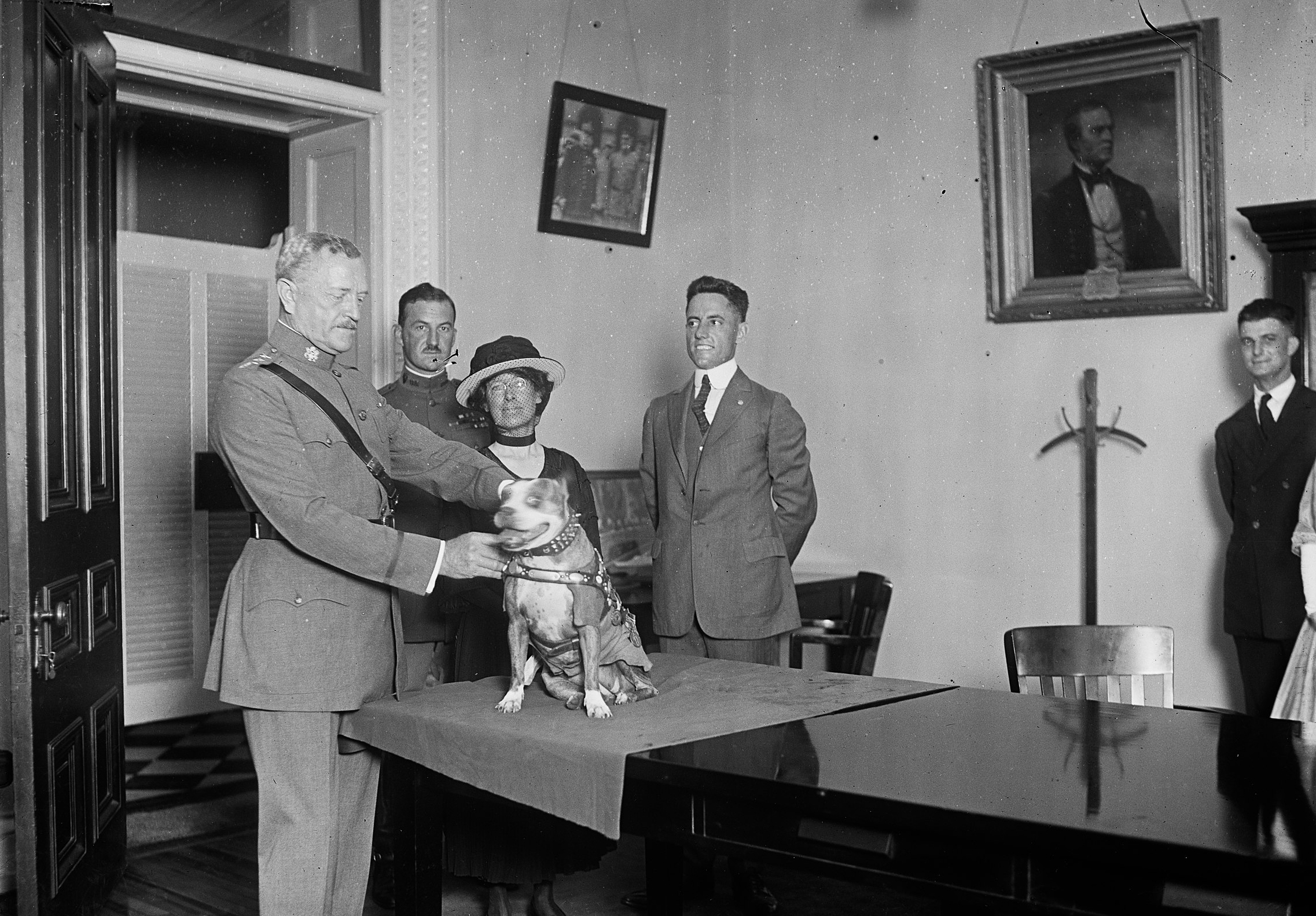 Sgt. Stubby getting a medal in WW1
