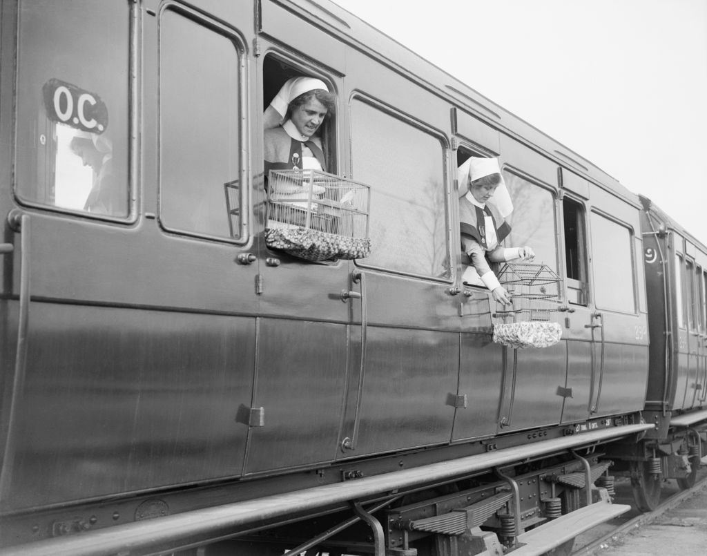 Nurses on a British ambulance train near Doullens with their pet canaries WW1